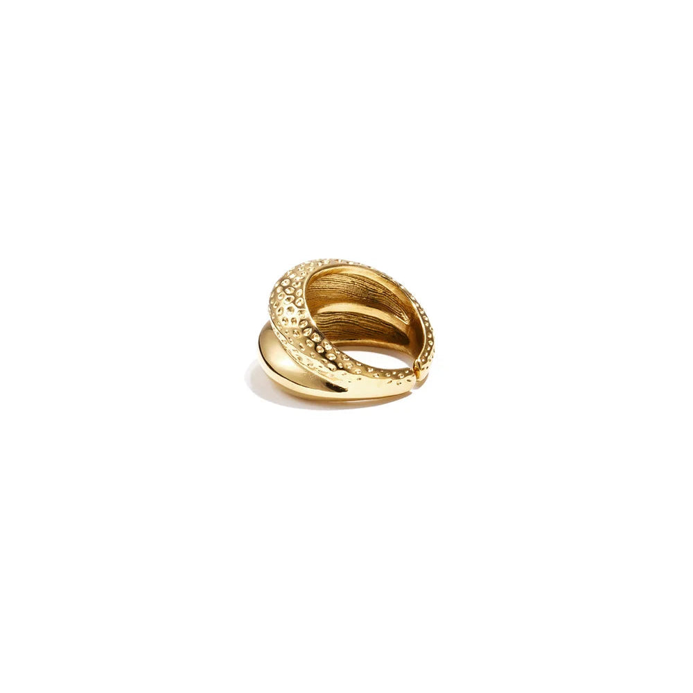 ANILLO ZAINA