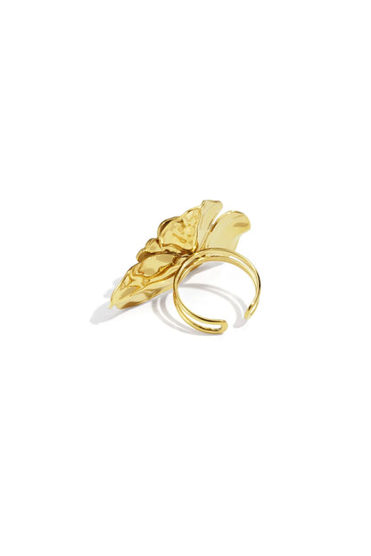 ANILLO ZAHRA